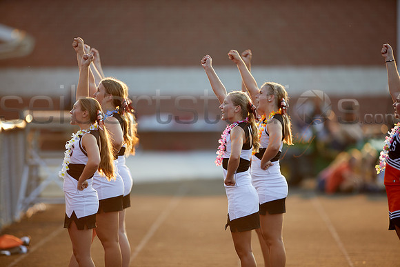 1D4A7534