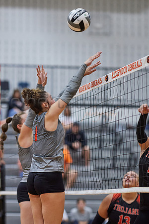 141A8244