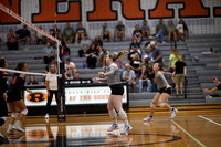 141A7979
