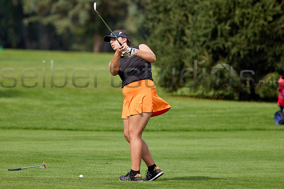 141A0629