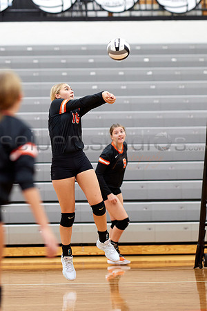 141A8261